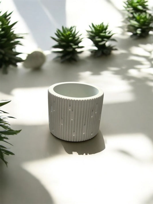 Maceta suculenta 6 x 7 Cm