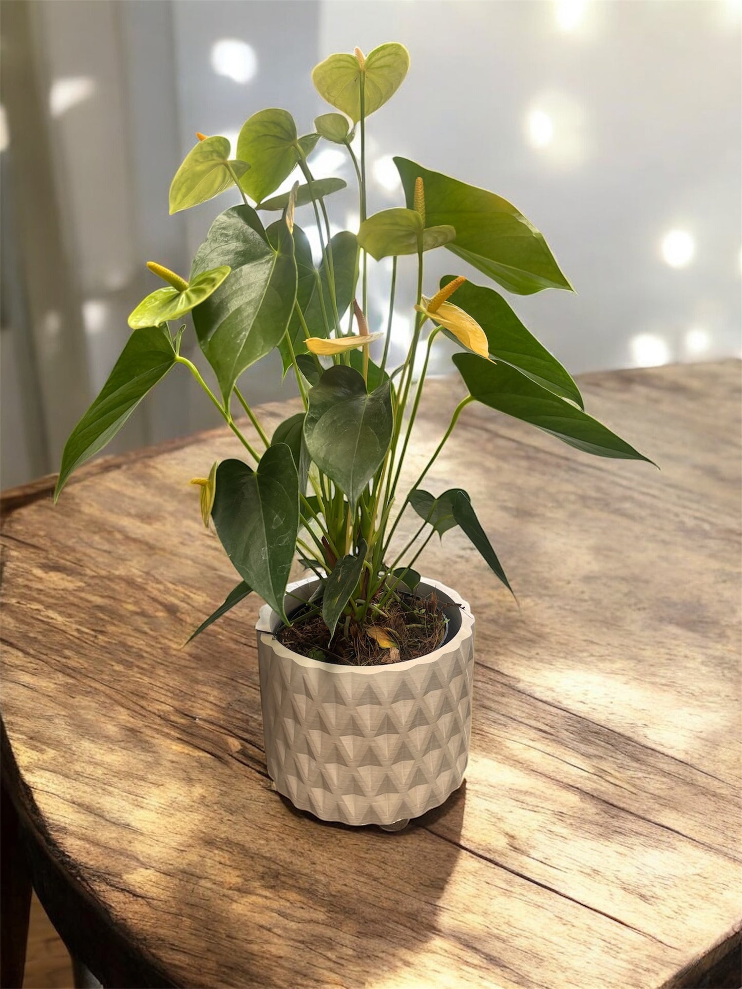 Maceta prisma v2 14 x 15 Cm