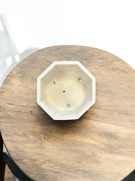 Terrario octagonal 10 x16 Cm