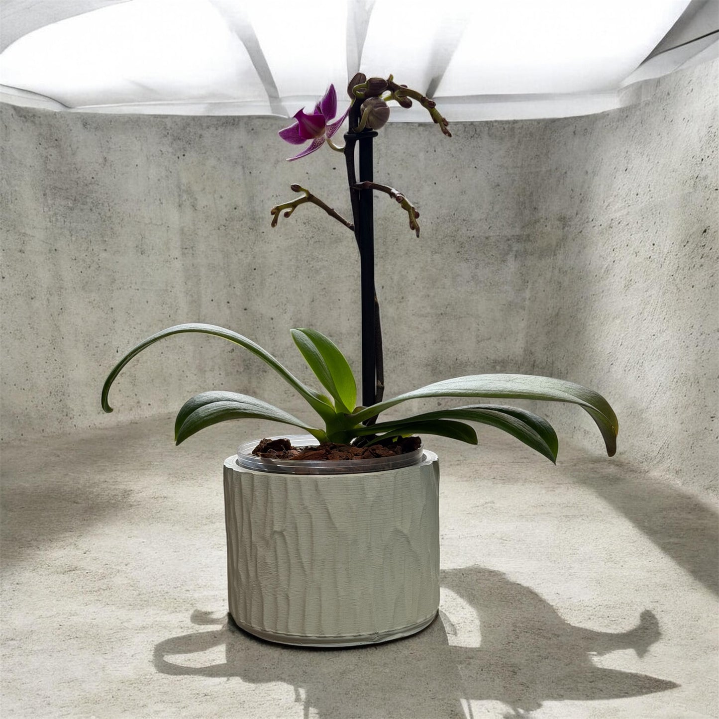 Matera Orgánica  (orquídea Mini) pequeña