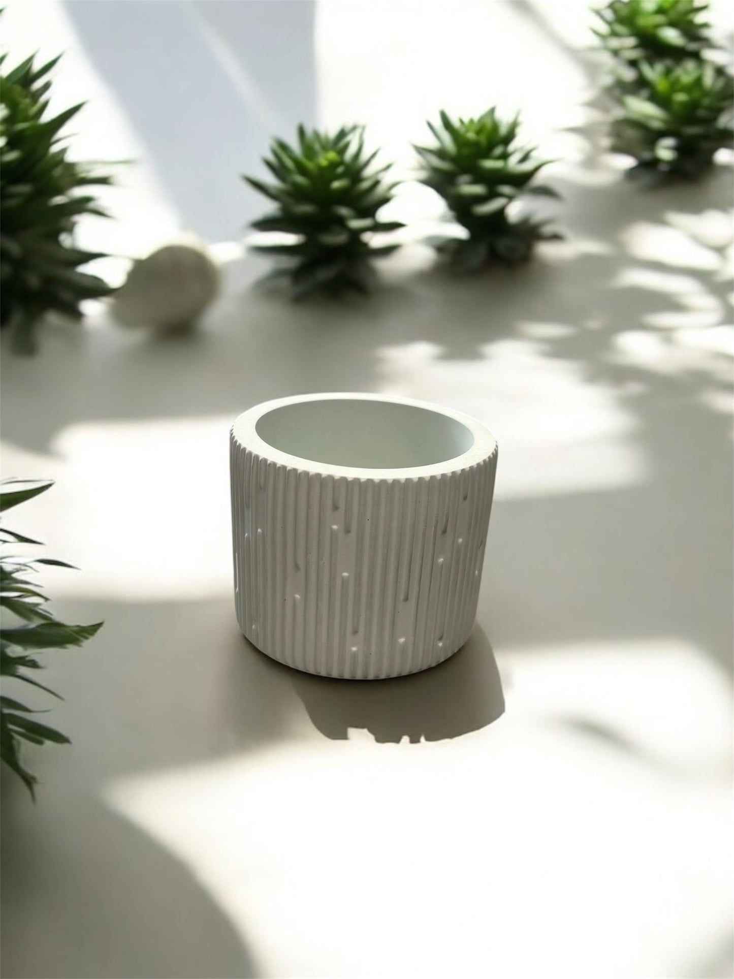 Maceta suculenta 6 x 7 Cm