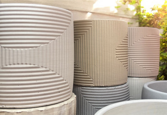 Set Porta orquídeas x3