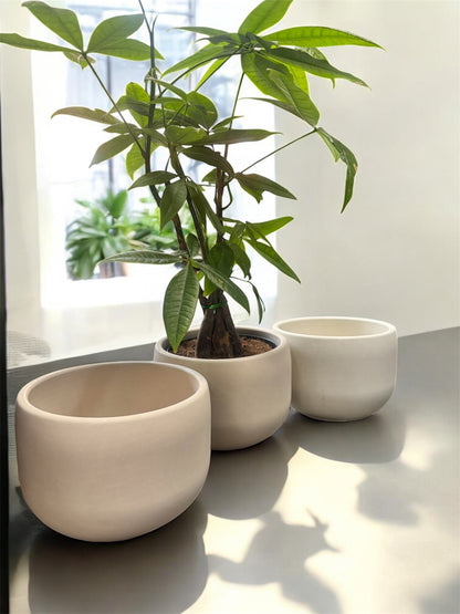 Set Bowl x3