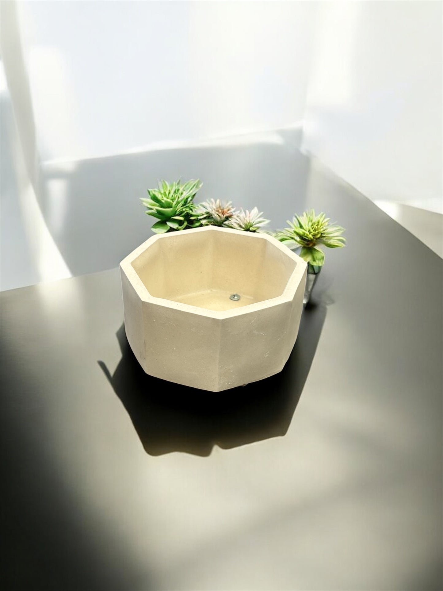 Terrario octagonal 10 x16 Cm