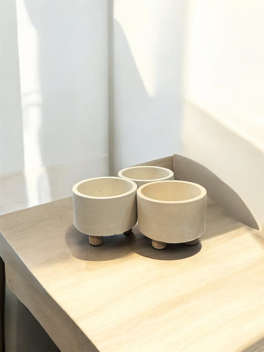 Set terrario redondo